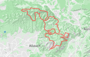 Alpin Trail de Pichauris - Expert