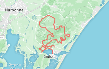 Gruissan Phoebus Trail