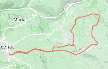Foulée du Cézallier - Le Trail des Estives