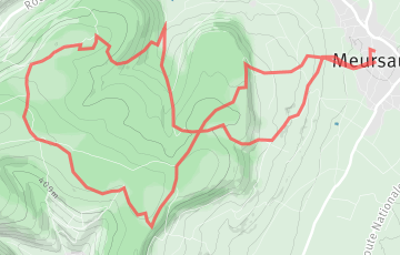 Trail by Night