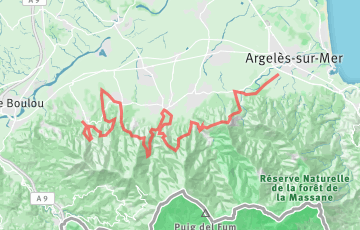 Ultrera Trail - Solo