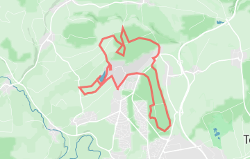 Trail des Comtes de Créhange - 19.5km