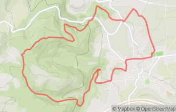 Trail du Téléthon Pays de Combronde - LA COMBRONITA