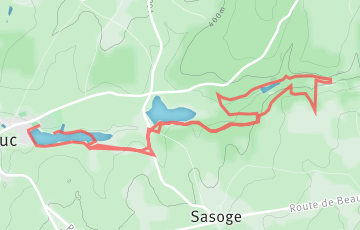Trail de Fouché - 12km