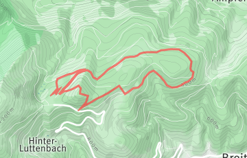 Trail Blanc du Gaschney