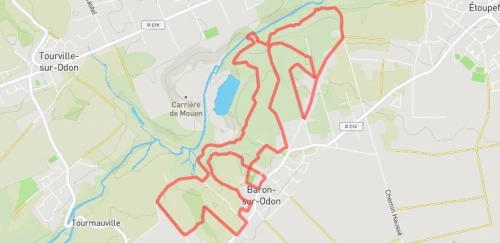 Trail court