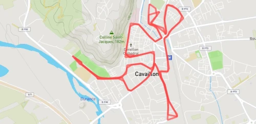 Semi-Marathon