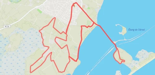 Semi-Marathon