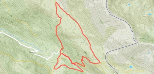 Défi de l'ours