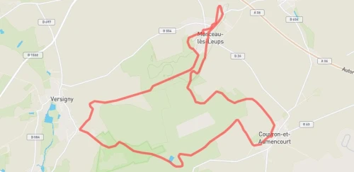 Trail 20km