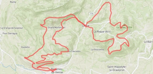 Trail long