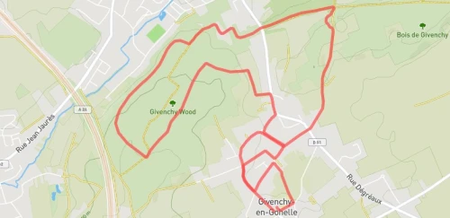 Trail court