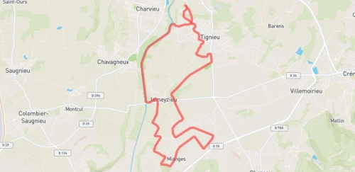 19 km