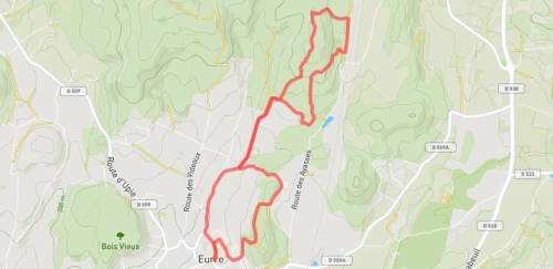 Trail court