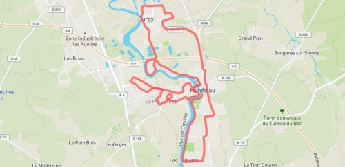 Semi-Marathon