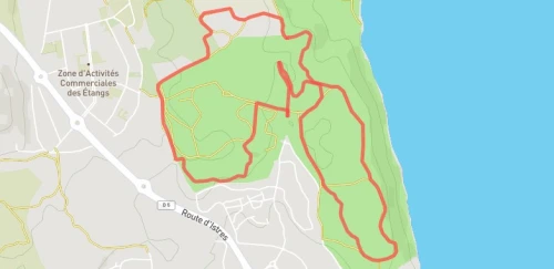 Trail court