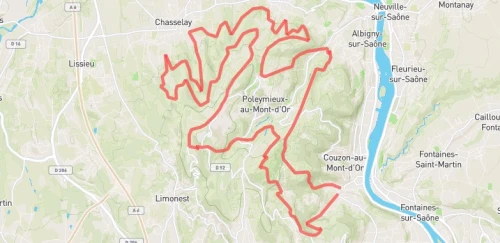 Trail Nocturne
