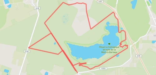 Course Nature