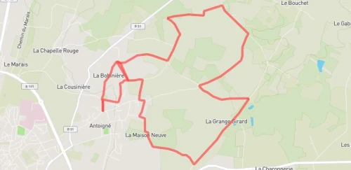 11 km