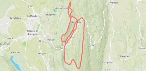 Trail Nocturne