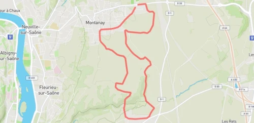 Montanoise