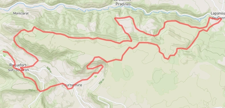 Marathon de l'Orchis