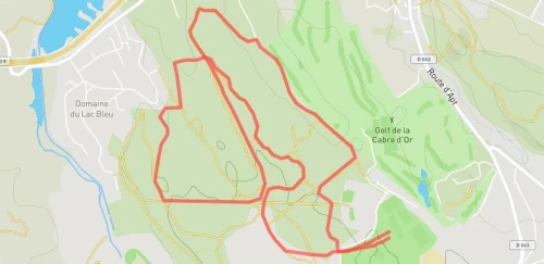 Trail court