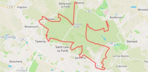 Trail long