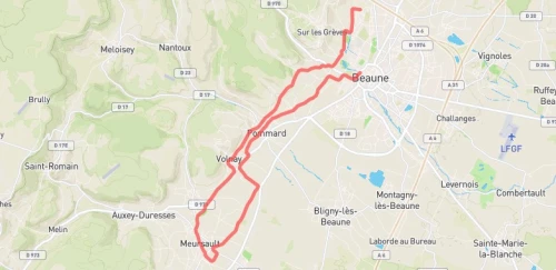 Semi-Marathon