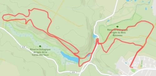 Trail court