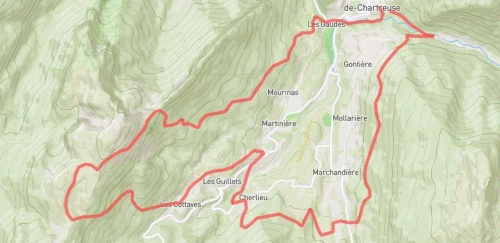 Festi Trail