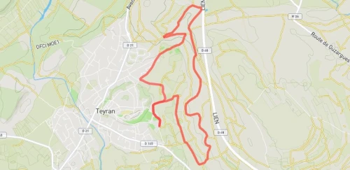 Trail court