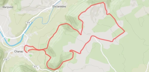 Salta Bartas