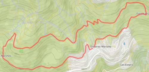Trail des Forests