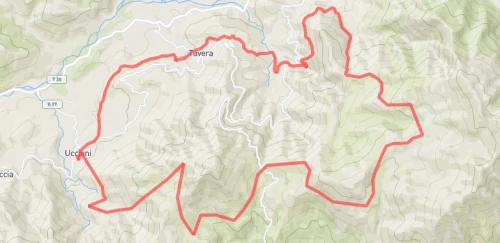 Marathon de la Gravona