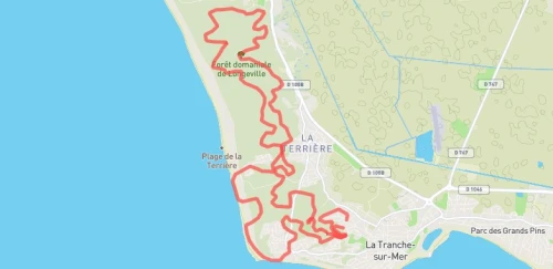 Trail court