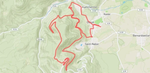 Trail du Mont Ste Odile