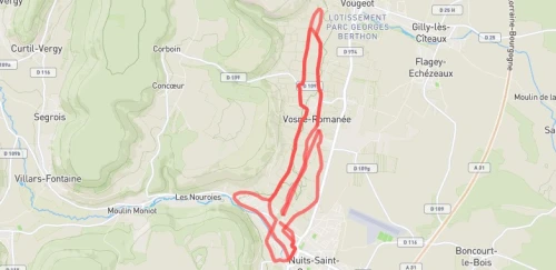 Semi-Marathon
