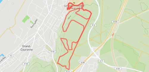 Trail court