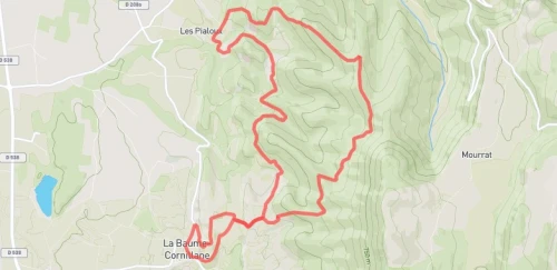 Trail court