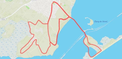 Semi-Marathon