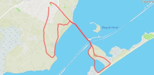 Course Nature