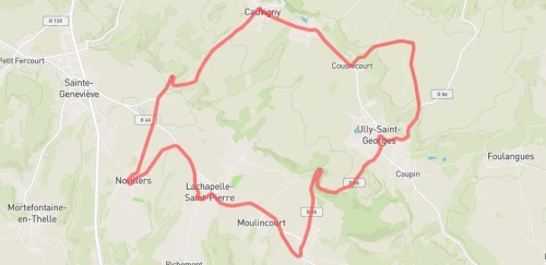 Semi-Marathon