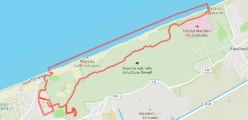 Course des AS
