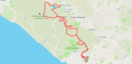 Trail court