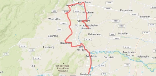 Semi-Marathon