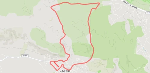 10 Km