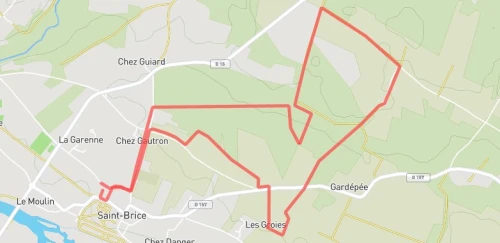 Trail découverte