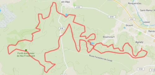 Trail long