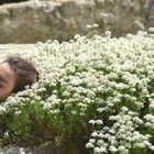 Iris N.